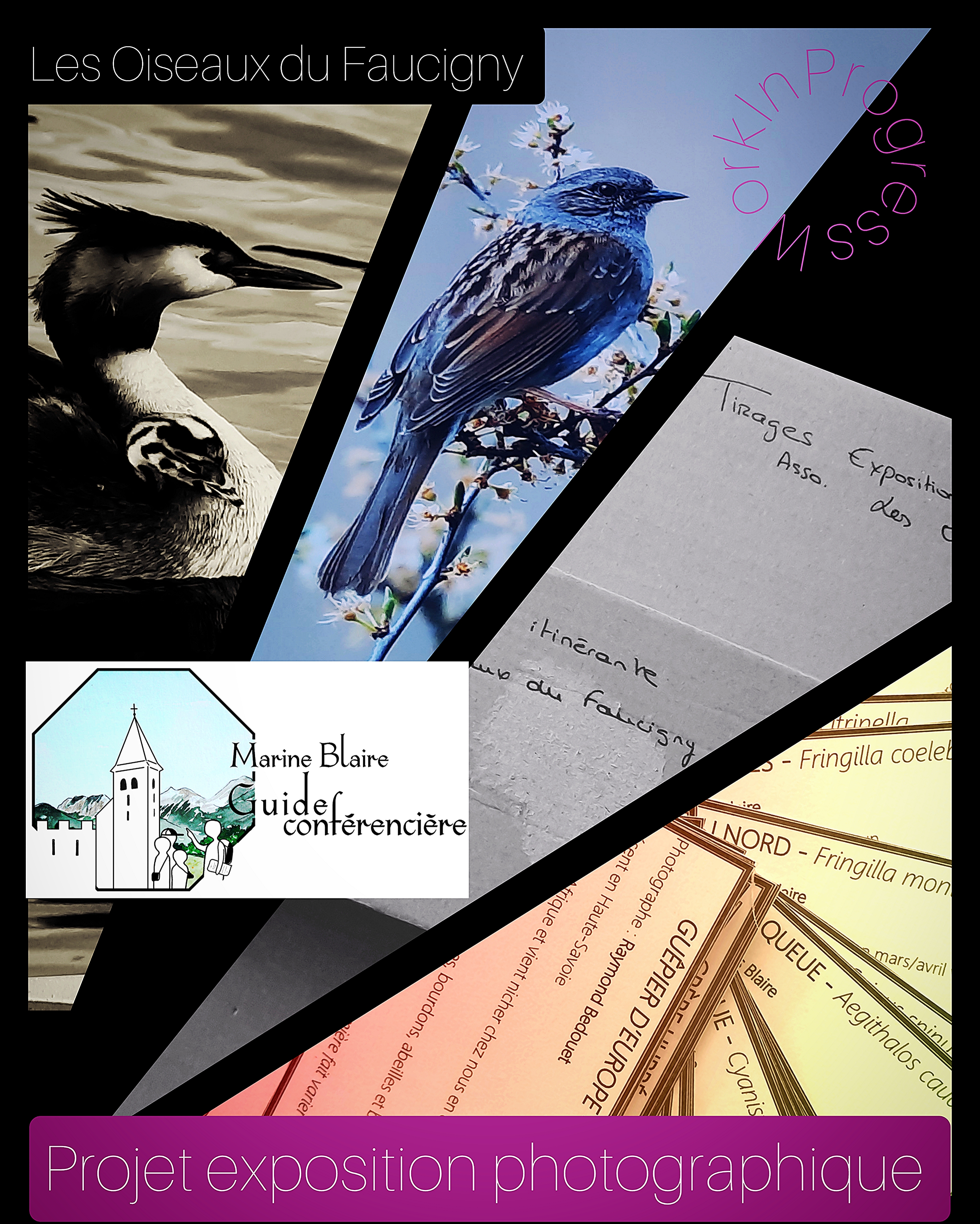 Marine Blaire ODF - expo 2024