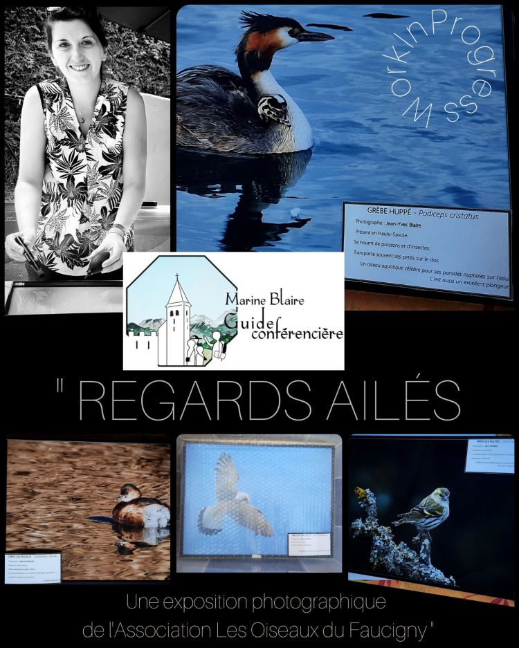 ODF BLAIRE expo Regards Ailés