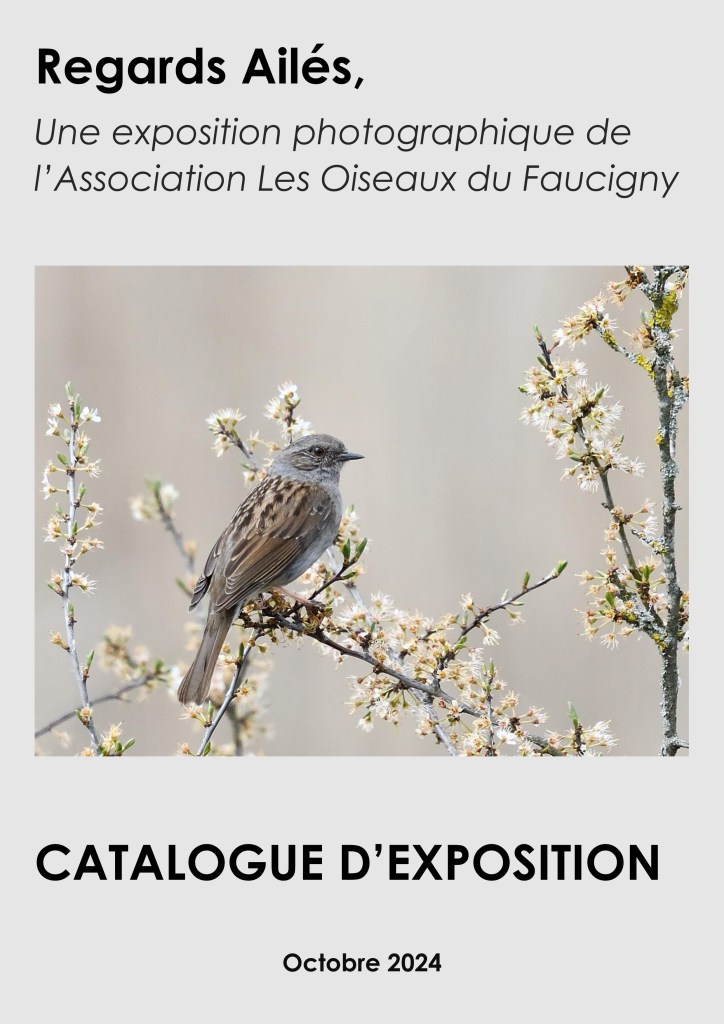 BLAIRE-ODF | Catalogue exposition Regards Ailés